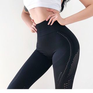 Quần tập dài GS 2019 - M2