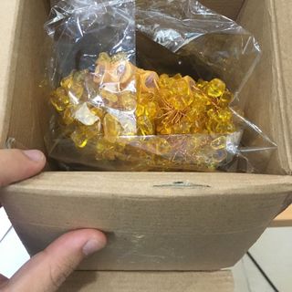 Cây tài lộc cỡ Trung