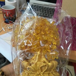 Cây tài lộc cỡ Trung