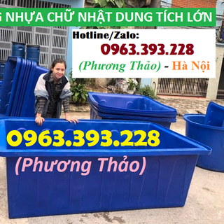 Cung cấp thùng nhựa chữ nhật dung tích lớn Thùng nhựa nuôi cá giá sỉ