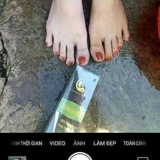 ủ trắng lúa mạch