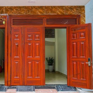 Cửa thép vân gỗ DH Group sang trọng 244