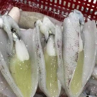 Mực trứng