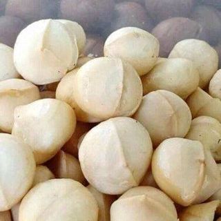 hạt macca