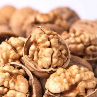 Hạt óc chó