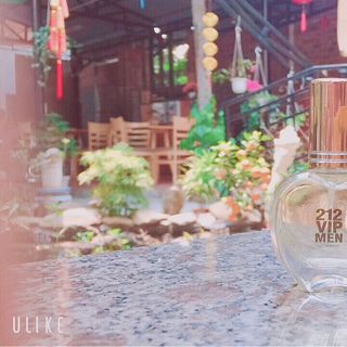Nước hoa mini chiết pháp 20ml