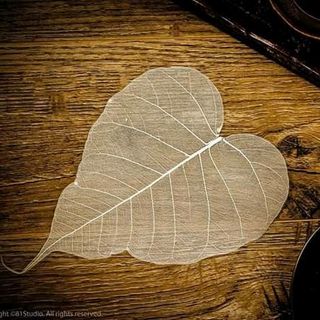 Lá bồ đề hình Phật