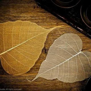Lá bồ đề hình Phật