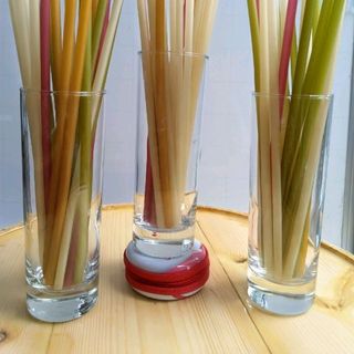 Ống hút gạo