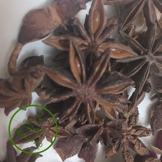 Xông mặt thảo mộc
