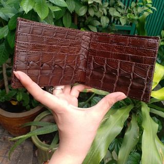 Ví nam da cá sấu 2 mặt gai lưng