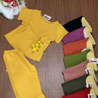 Đồ bộ đũi ống rộng dài đồ bộ trung niên