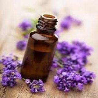 TInh dầu oải hương lọ 10ml giúp ngủ ngon giảm mệt mọi thư giãn hiệu quả