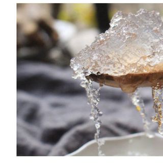 Tuyết yến thượng phẩm