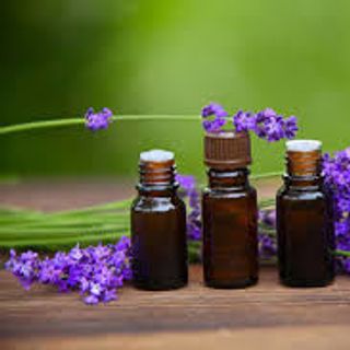 Tinh dầu hoa violet giúp thư giãn cân bằng và chống stress khử mùi hiệu quả lọ 10ml