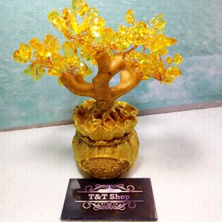 cây tài lộc đá thạch anh vàng