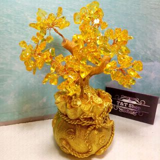 cây tài lộc đá thạch anh vàng