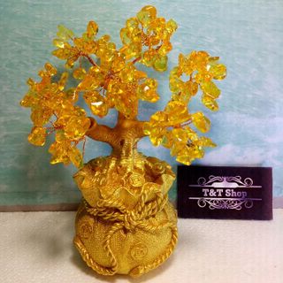 cây tài lộc đá thạch anh vàng