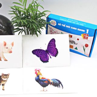 Thẻ giáo dục sớm theo phương pháp glenn do man