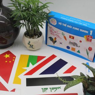 Thẻ giáo dục sớm theo phương pháp glenn do man