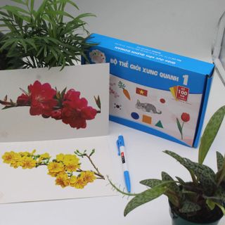 Thẻ giáo dục sớm theo phương pháp glenn do man