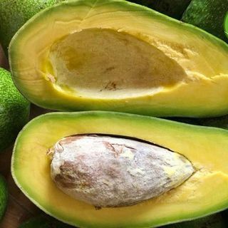 BƠ SÁP TÂY NGUYÊN