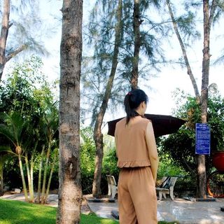 Set bộ quần ống đứng áo bèo lưng chuẩn