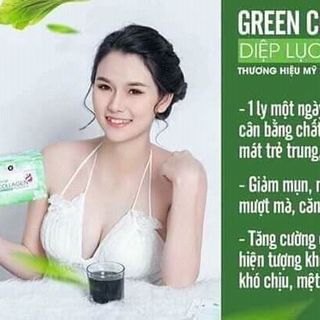 Diệp lục colagen giá sỉ