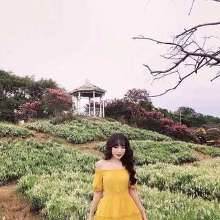 Đầm Voan Ngắn