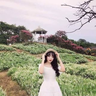 Đầm Voan Ngắn