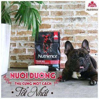 Nutrience Subzero Prairie Red - Thức ăn khô cho chó