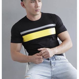 Áo thun trơn cotton 100