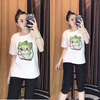 Áo mèo kim sa
