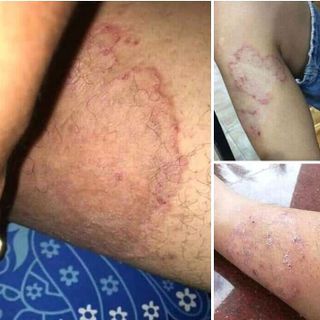 Thuần mộc thanh mộc hương
