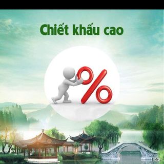 Sâm tăng cân