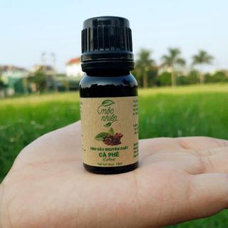 Tinh dầu thơm xông phòng