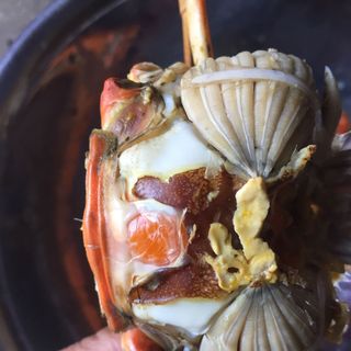 Cua gạch Bình Định