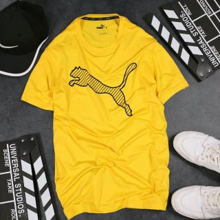 Áo thun thể thao co giãn 4 chiều