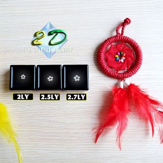 Trọn bộ 5 viên đá dán răng 25ly loại vừa