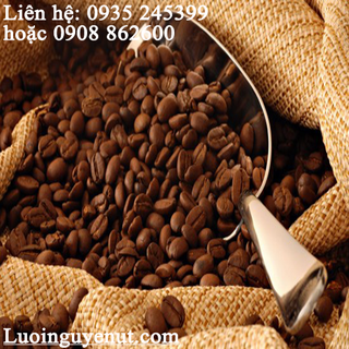 Chuyên kinh doanh bao bố trang trí