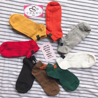 Sỉ 30 đôi vintage ngắn cổ