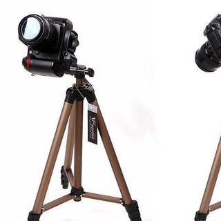 Chân máy ảnh và điện thoại Tripod Weifeng WT3130