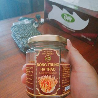 Đông trùng hạ thảo sấy khô hũ 15g
