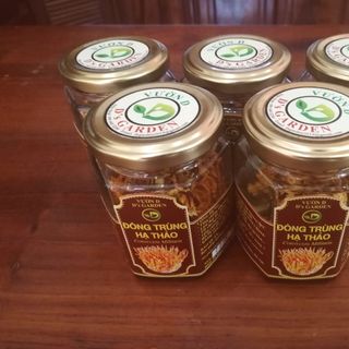 Đông trùng hạ thảo sấy khô hũ 15g