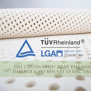 Sỉ Nệm cao su Vạn Thành