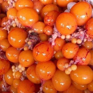 trứng gà non