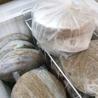 Chả Cá Phú Yên 100 cá tươi sạch ngon