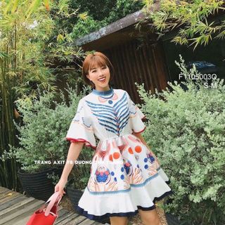 Đầm xô xòe tay bèo họa ti