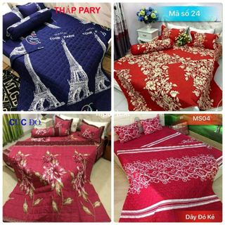 Bộ ra gối cotton poly 5 món