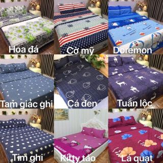 Bộ ra gối cotton poly 5 món